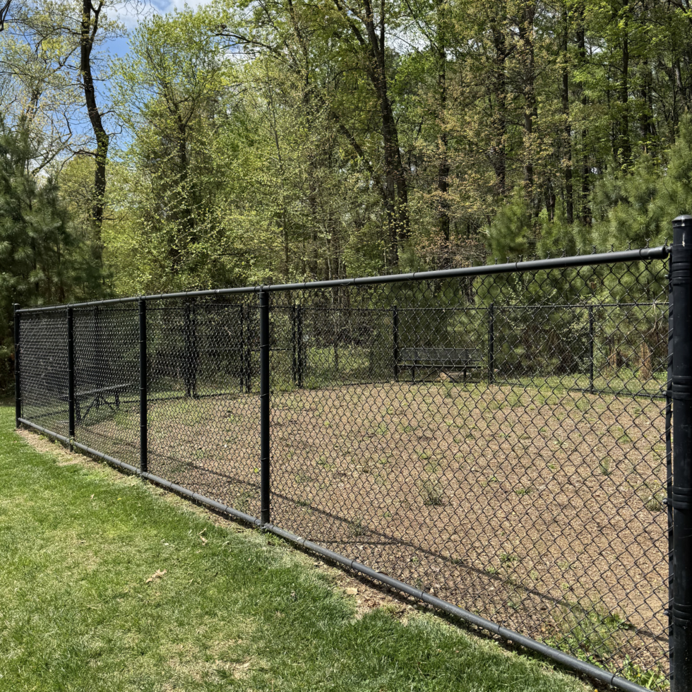 A black chain-link fence runs along a grassy yard, with a lush, green forest of tall trees in the background. The sky is partly cloudy with patches of blue visible through the trees.