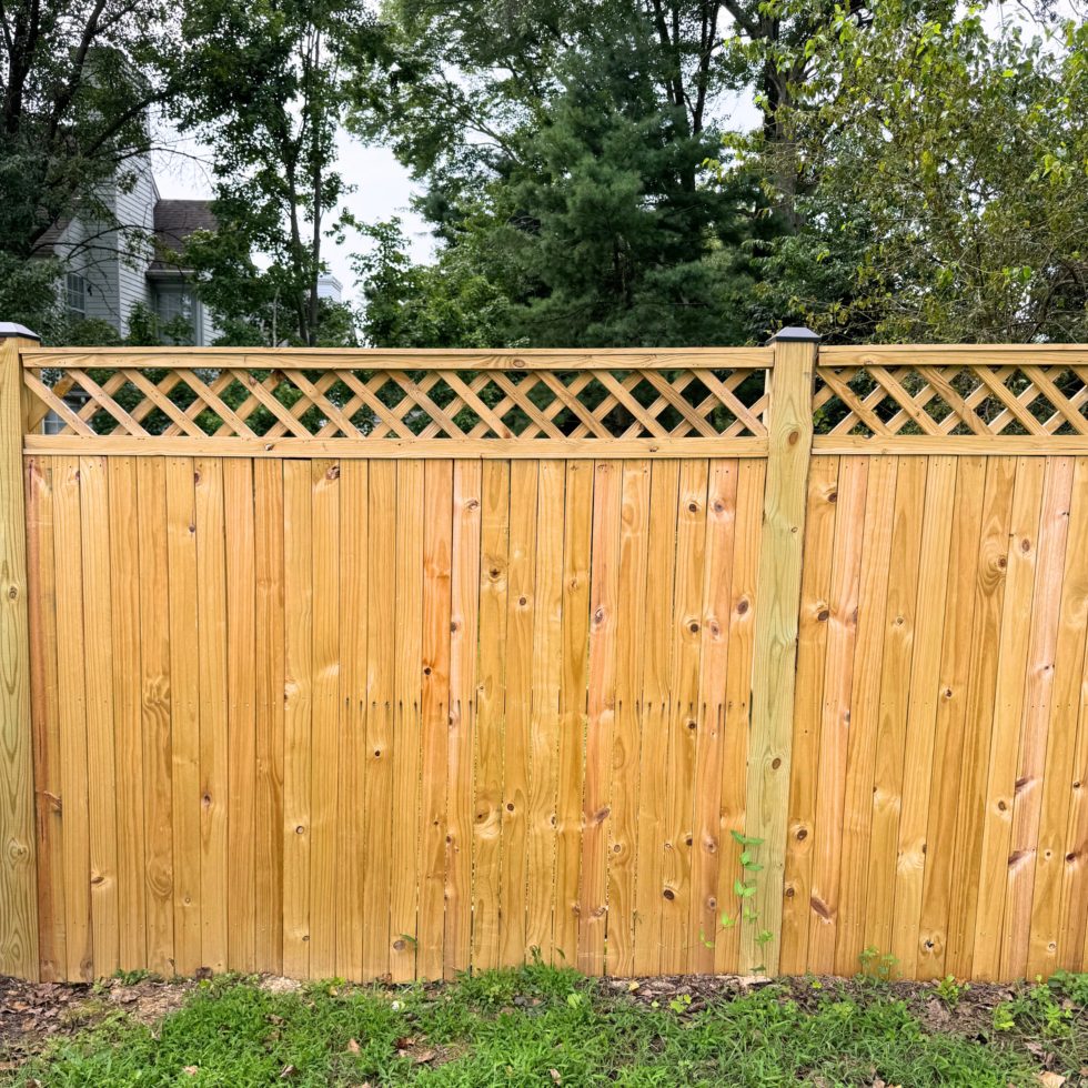 A wooden privacy fence with a lattice design on top, set against a background of trees and foliage, with some grass and small plants at the base.