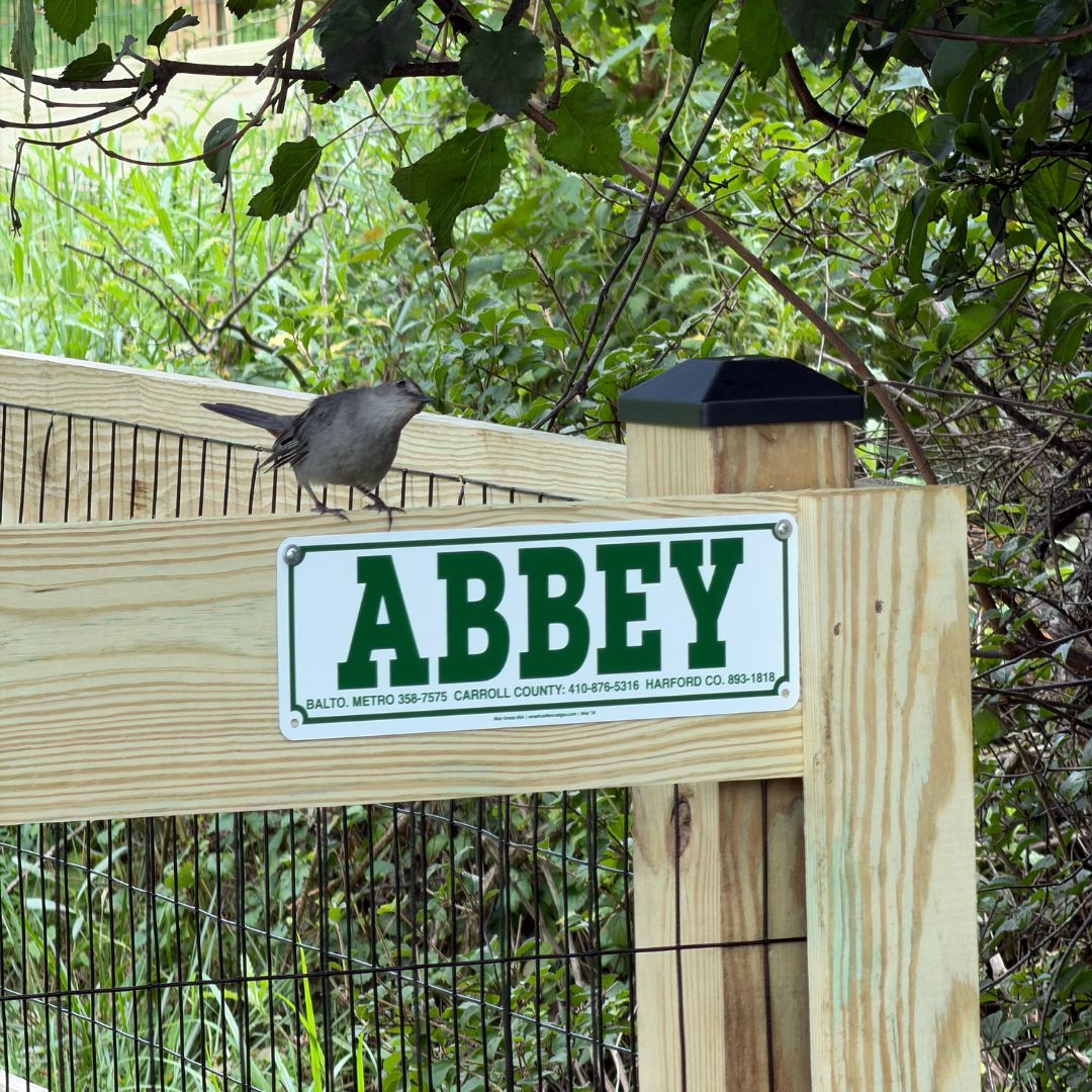 A small bird perched on a wooden fence post next to a green and white Abbey Fence & Deck company sign.